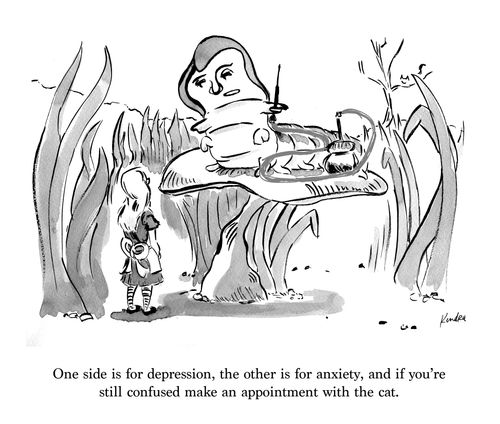 "One side is for depression, the other is for anxiety, and if you're still confused make an appointment with the cat."