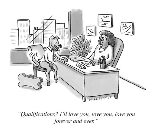 "Qualifications? I’ll love you, love you, love you forever and ever."