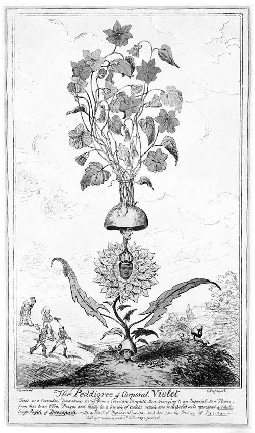 Fall of Napoleon III