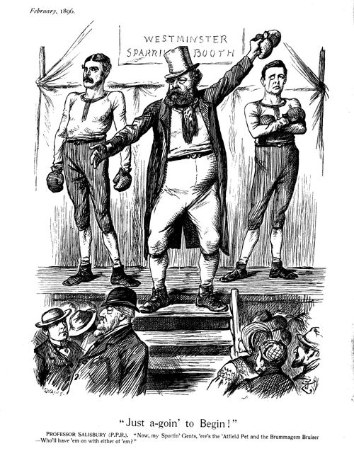Jameson Raid-Domestic Political Fallout