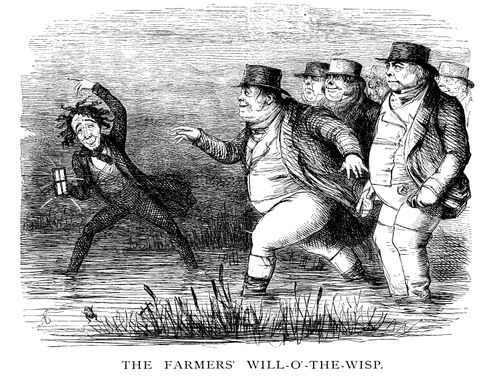Disraeli's Local Taxation Reform for Agricultural Interest