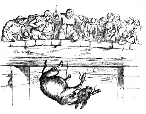 Aesop's Fables - Donkey Falls off Bridge