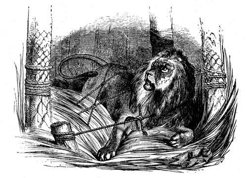 Aesop's Fables - The Lion and the Mouse
