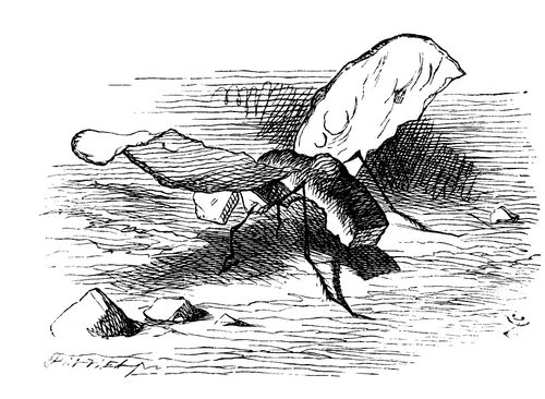 Through the Looking Glass - Bread and Butter Fly