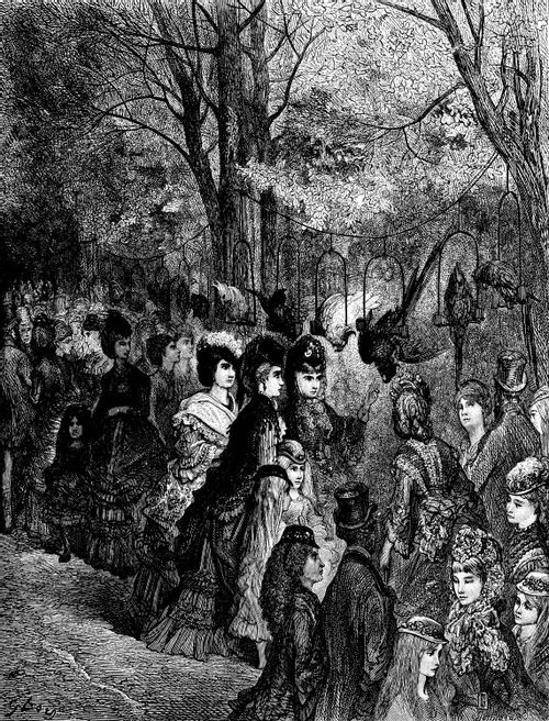 'Zoological Gardens - The Parrot Walk'