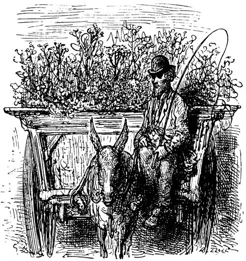 Flower Hawker in his Cart