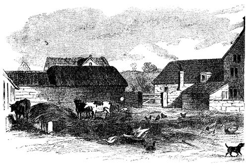 Farmyard Scene