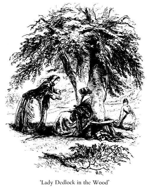 Lady Dedlock in the Wood