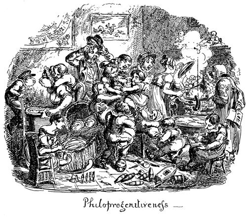 Phrenological Illustrations- Chaos of Large Families