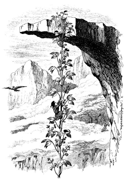 Fairy Library - Jack Climbs the Bean Stalk