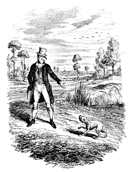 Oliver Twist - Sikes Attempts to Kill Bulls-Eye,his Dog