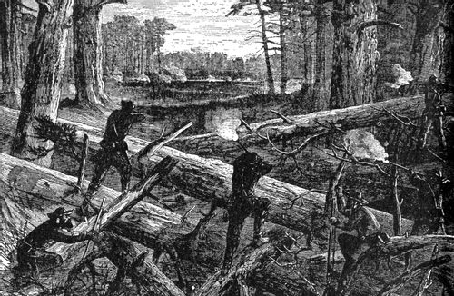 Sherman's March through South Carolina- Road at the Swamp Crossings