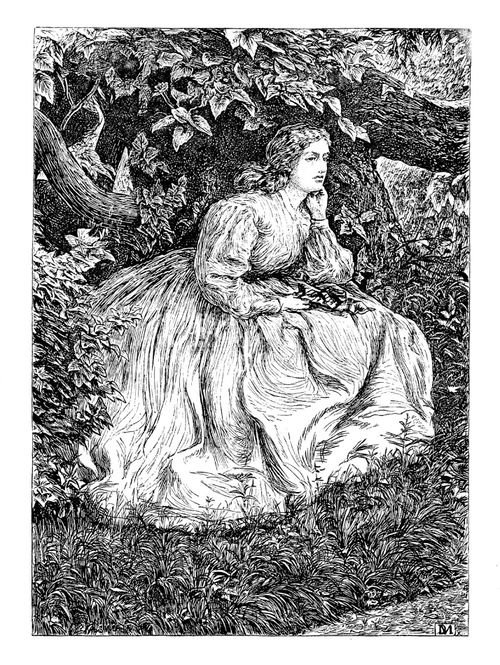 Illustration for 'Under the Elm'.