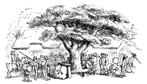 The village oak.