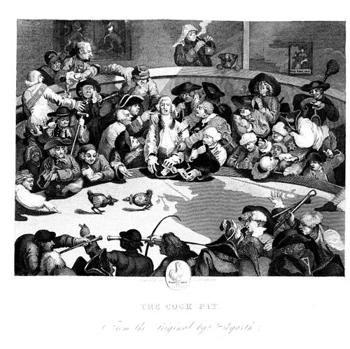 The Cock Pit.