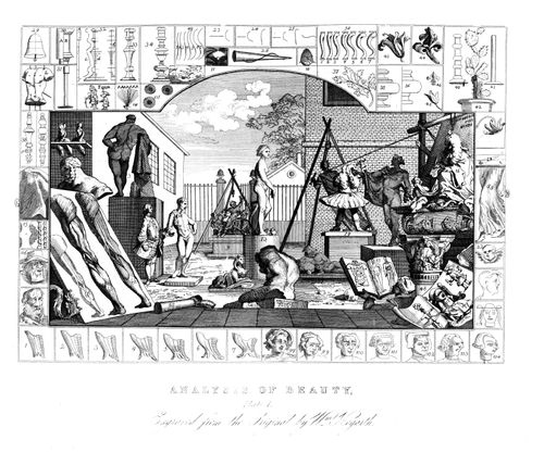 Analysis of Beauty - Plate I.