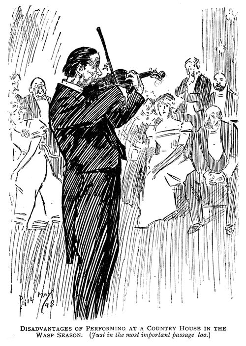 Playing Violin During Wasp Season