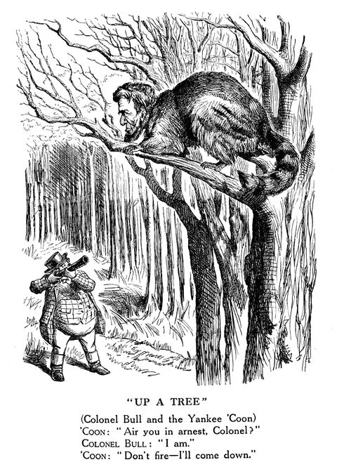 Colonel Bull and the Yankee 'Coon - The Struggle in America