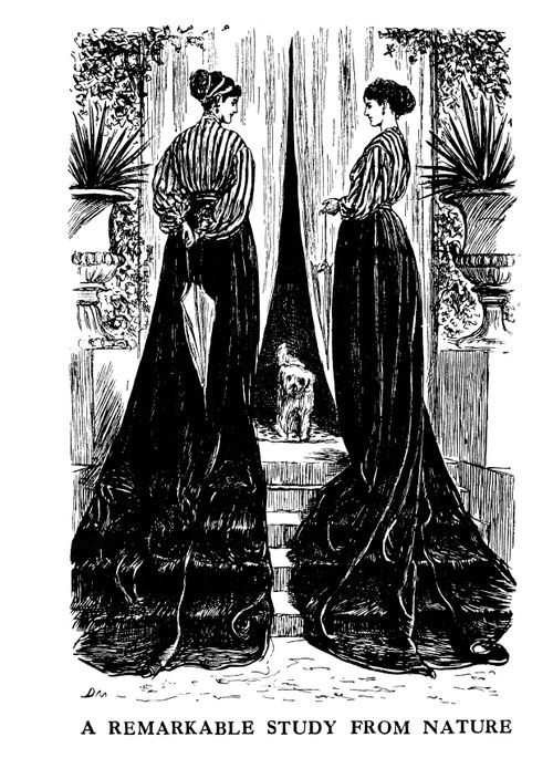 Women's Fashions - A Study From Nature