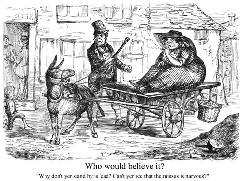 A mule pulling a lady on a carriage.