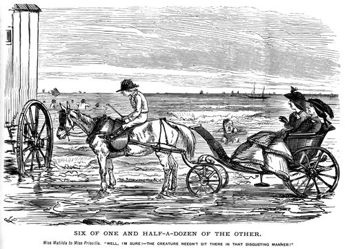 Two women in a horse and buggy at the seaside.