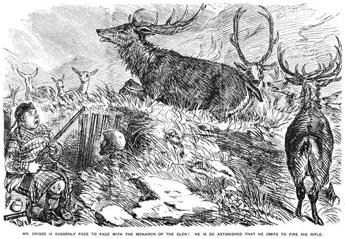 Mr. Briggs' Adventures in the Highlands, part 10.