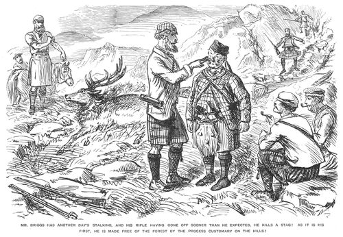 Mr. Briggs' Adventures in the Highlands, part 11.
