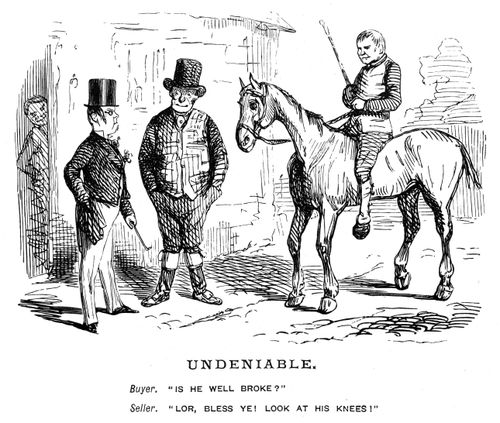 A man seeking to buy a horse.