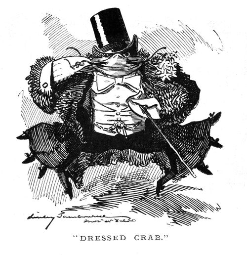 A dressed crab