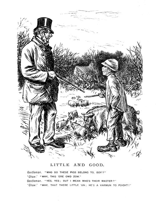 A gentleman inquiring as to the owner of some pigs