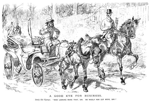 A carriage driver interested in acquiring a different horse