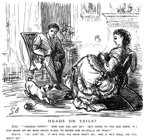 A couple deciding whether to enter their puppy into a dog show