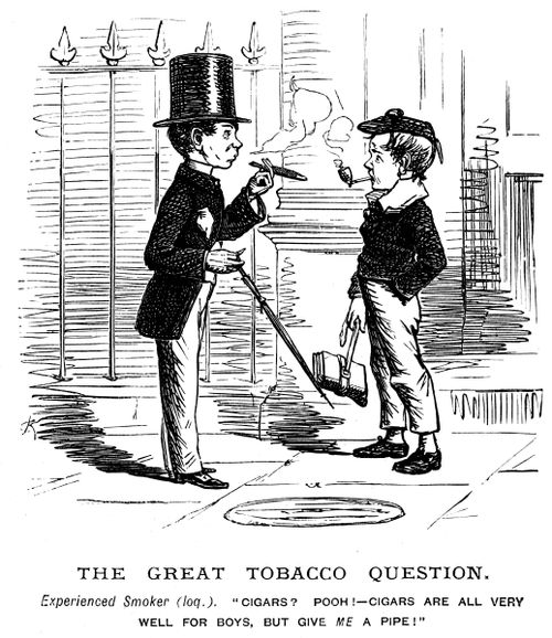 The Great Tobacco Question.