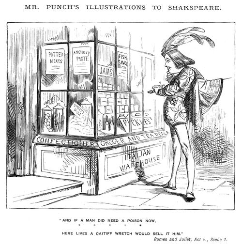 Mr Punch's Illustrations to Shakspeare.