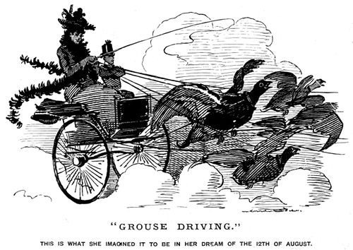 Grouse Driving.