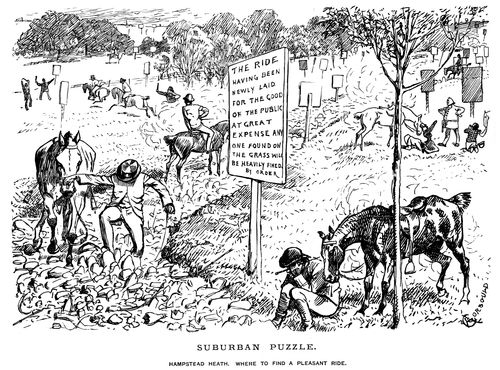 Surburban Puzzle.