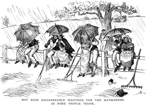 Not Such Disagreeable Weather for the Haymakers as Some People Think.