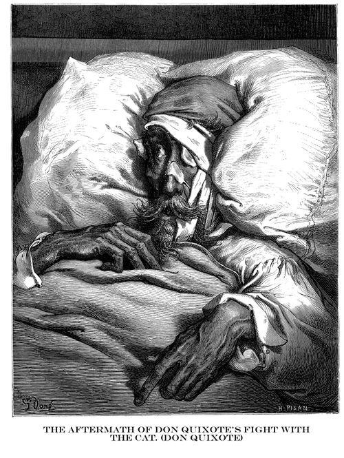 The Aftermath of Don Quixote's Fight With the Cat (Don Quixote).