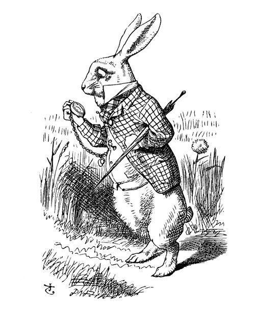 Alice in Wonderland - The White Rabbit