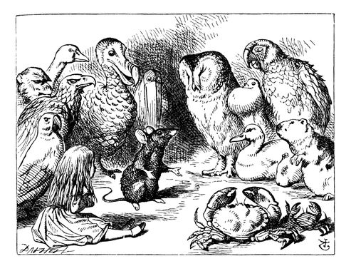 Alice in Wonderland: A Long Tale.