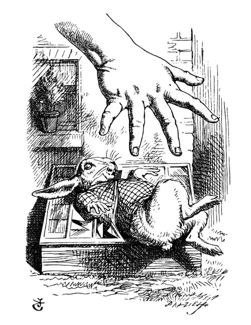 Alice in Wonderland - The Rabbit Looks for Alice.