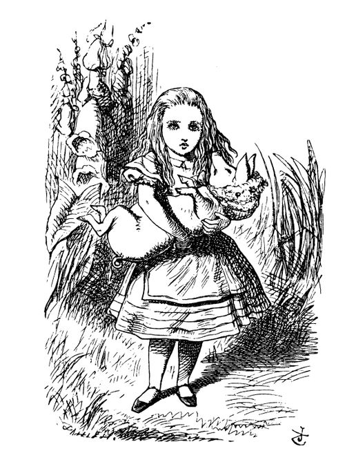 Alice in Wonderland - The Pig Baby.