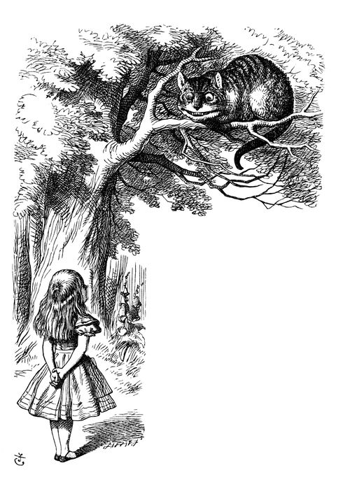 Alice in Wonderland - Alice Meets the Cheshire Cat.
