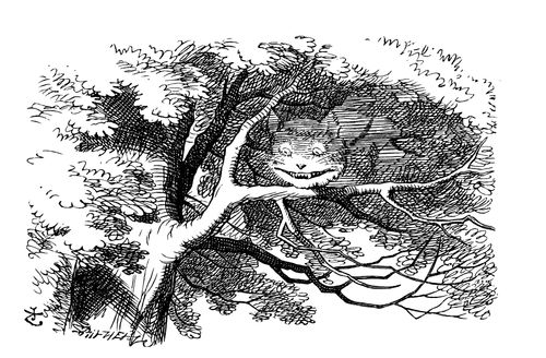 Alice in Wonderland - The Cheshire Cat.