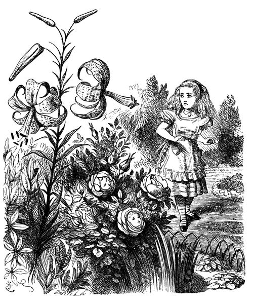 Alice Through the Looking Glass - The Garden of Live Flowers.