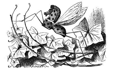 Alice Through the Looking Glass - Rocking-horse-fly.