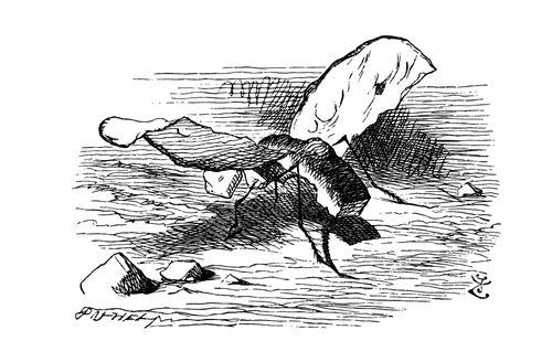 Alice Through the Looking Glass - The Gnat.