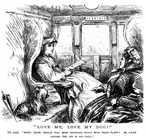 A Dog In A Train Carriage.