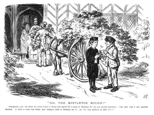 Boy giving mistletoe to friend