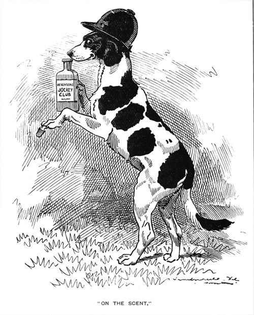 Dog sniffing scent